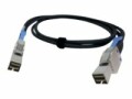Qnap Mini-SAS-Kabel CAB-SAS10M-8644 1 m, Datenanschluss Seite