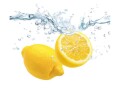 Zeller Present Herdabdeckplatte Lemon Splash Mehrfarbig, Material: Glas