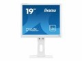 iiyama ProLite B1980D-W1 - LED monitor - 19"