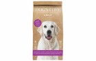 Dog's Love Trockenfutter Adult, Lamm, 2 kg, Tierbedürfnis: Kein