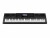 Bild 0 Casio Workstation WK-6600, Tastatur Keys: 76, Gewichtung: Nicht