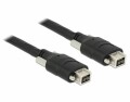 DeLock FireWire-Kabel 9Pin-9Pin schraubbar, 3m, Datenanschluss