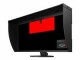 EIZO Monitor CG319X Swiss Edition, Bildschirmdiagonale: 31 "