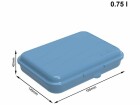 Rotho Lunchbox Fun 750 ml, Blau, Materialtyp: Kunststoff