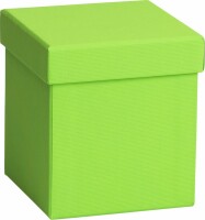 STEWO Geschenkbox One Colour 2551782890 grün hell 11x11x12cm