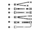 Lenovo - Kit de câbles de stockage - pour