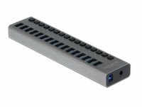 DeLock USB-Hub 16-Ports und Schalter, Stromversorgung: 12 V