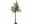 Bild 0 Star Trading Dekorationsbaum Olivec, 178 LEDs, 180 cm, Grün