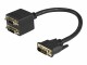 STARTECH .com DVI-D auf 2x DVI-D 30cm Splitter Kabel