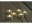 Image 4 Sirius LED-Teelichter 4er Set, Rund
