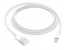 Apple Lightning to USB Cable (1m