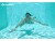 Bild 4 Schildkröt Funsports Junior Schwimmbrille Bali Rot, Schwimmfunktion: Freizeit