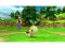 Bild 4 Nintendo Pokémon Strahlender Diamant, Für Plattform: Switch, Genre