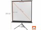 Celexon Stativleinwand Eco 244x244cm 1:1, Leinwandtyp