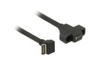 DeLock USB3.0 Pinheaderkabel USB 3.1 Gen2 - USB-KeyA zum