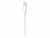 Image 4 Apple USB-C to Lightning Cable - Lightning cable
