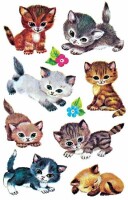 Z-DESIGN Sticker Kids 4346 Katzen 3 Stück, Kein Rückgaberecht
