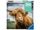 Ravensburger Puzzle Highland Cattle, Motiv: Tiere, Altersempfehlung ab