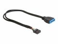 DeLock DeLOCK - Internes USB-Kabel - 9-poliger