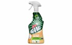 Cillit Bang Natürlicher Kraftreiniger, Küche 750 ml