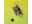 Bild 5 Goldbuch Ordner Stürmer A4, 8 cm, Zusatzfächer: Nein, Anzahl