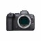 Bild 1 Canon Kamera EOS R6 Body & Canon Objektiv Zoom RF 24-105mm f/4.0L IS USM