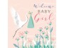 Cart Glückwunschkarte Welcome Baby Girl 16 x 16 cm