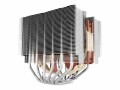 Noctua