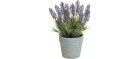 Botanic-Haus Kunstpflanze Lavendel im Topf 22 cm, Produkttyp