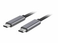 Artwizz - USB-Kabel - USB-C (M) zu USB-C (M) - USB 3.0 - 1 m - Titan
