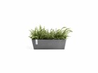 Ecopots Pflanzentopf Bruges 55 Grau, Volumen: 12 l, Material