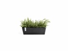 Ecopots Pflanzentopf Bruges 65