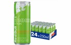 Red Bull The Summer Edition 2024, 24 x 0.25 l