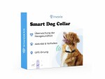 Invoxia GPS-Tracker Smart Dog Collar M, Midnight Black