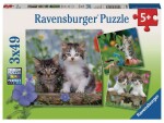 Ravensburger Puzzle Süsse Samtpfötchen, Motiv: Tiere