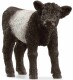 Farm World: Galloway Kalb