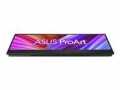 Asus Monitor ProArt PA147CDV, Bildschirmdiagonale: 14 "