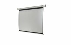 Celexon Motorleinwand Eco 240x180cm 4:3, Leinwandtyp