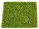 HobbyFun Mini-Utensilien Gras Matte 14 x 14 cm, Detailfarbe