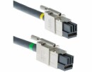 Cisco StackPower Kabel CAB-SPWR-30CM, Zubehörtyp: StackPower