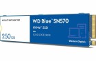 Western Digital WD Blue SN570 NVMe SSD WDS250G3B0C - SSD