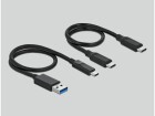 DeLock Dockingsstation USB-C - M.2 NVMe, Card Reader: Kein