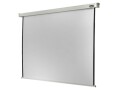 Celexon Motorleinwand Pro 230x173 cm