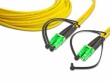 Lightwin - Patch-Kabel -