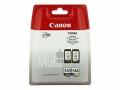 Canon PG-545 / CL-546 Multipack - 2er-Pack - 8