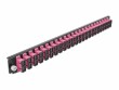 DeLock Verteilerplatte Frontblende 24 Port SC Duplex OM4 MM