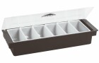 Paderno Beilagenbuffet 49 cm x 15 cm 6 Behälter