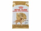 Royal Canin Trockenfutter Breed Nutrition Golden Retriever Adult, 3