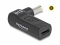 DeLock Adapter USB-C zu Samsung 5.5 x 3.0 mm