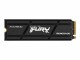 Kingston 1000G FURY RENEGADE W/ HEATSINKPCIE 4.0 NVME SSD